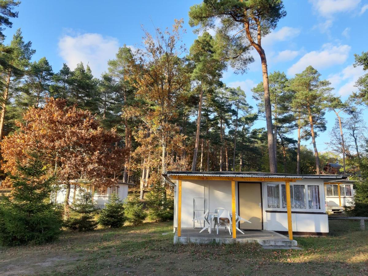 Ferienpark Seenland Lychen Dış mekan fotoğraf